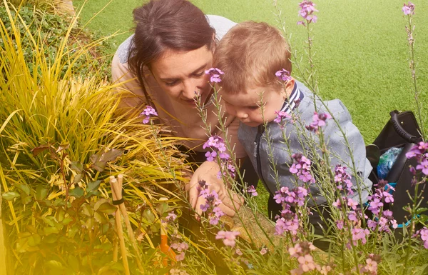 A mother and son looking for bugs on their allotment