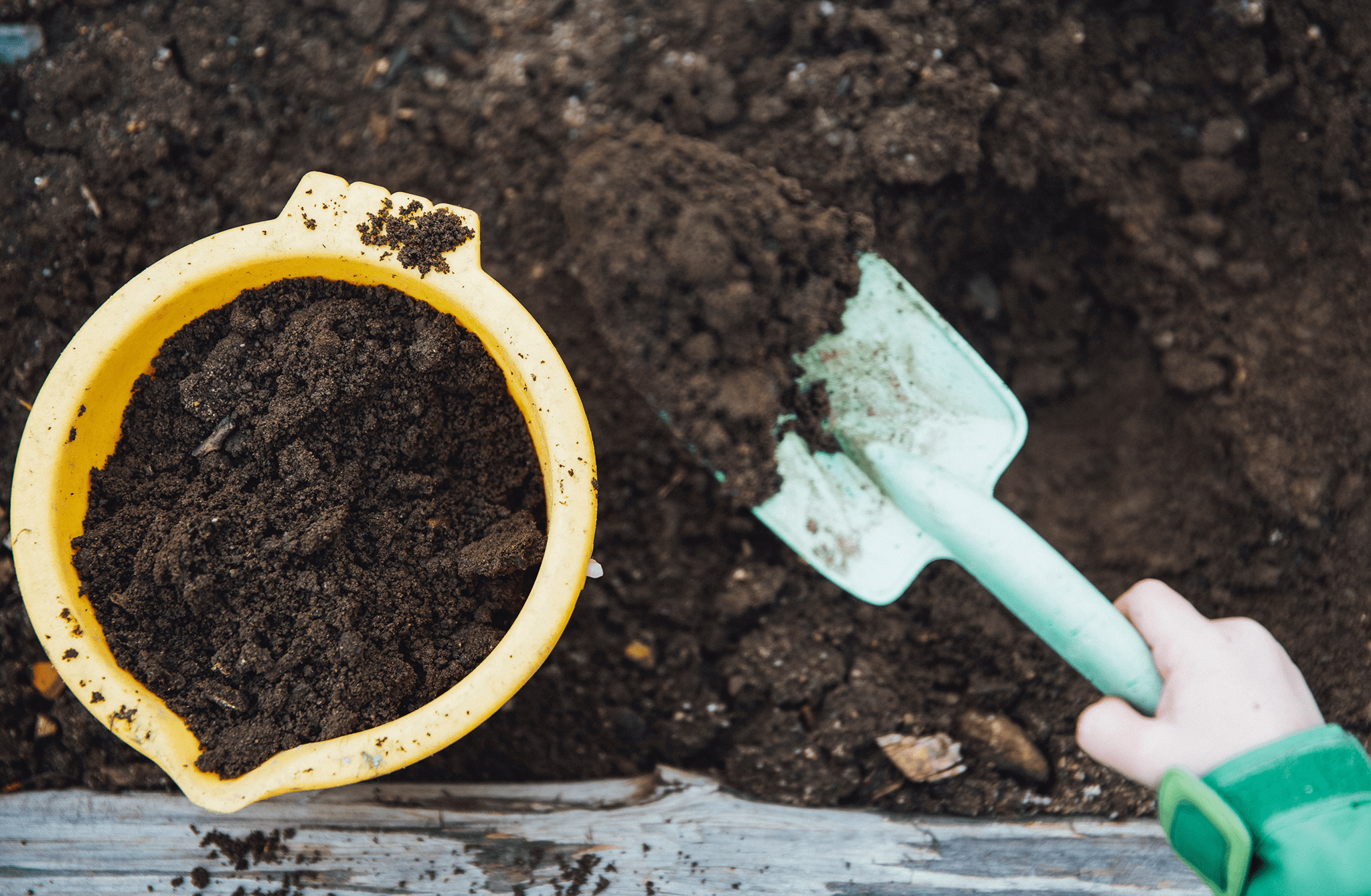 A hand spooning compost made from garden waste into a yellow bucket