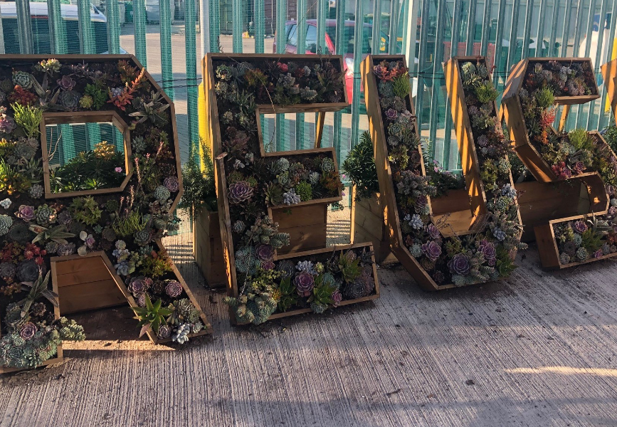 Reuse sign with flowers growing on the sign