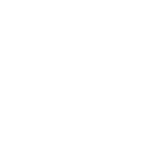 Money icon in white