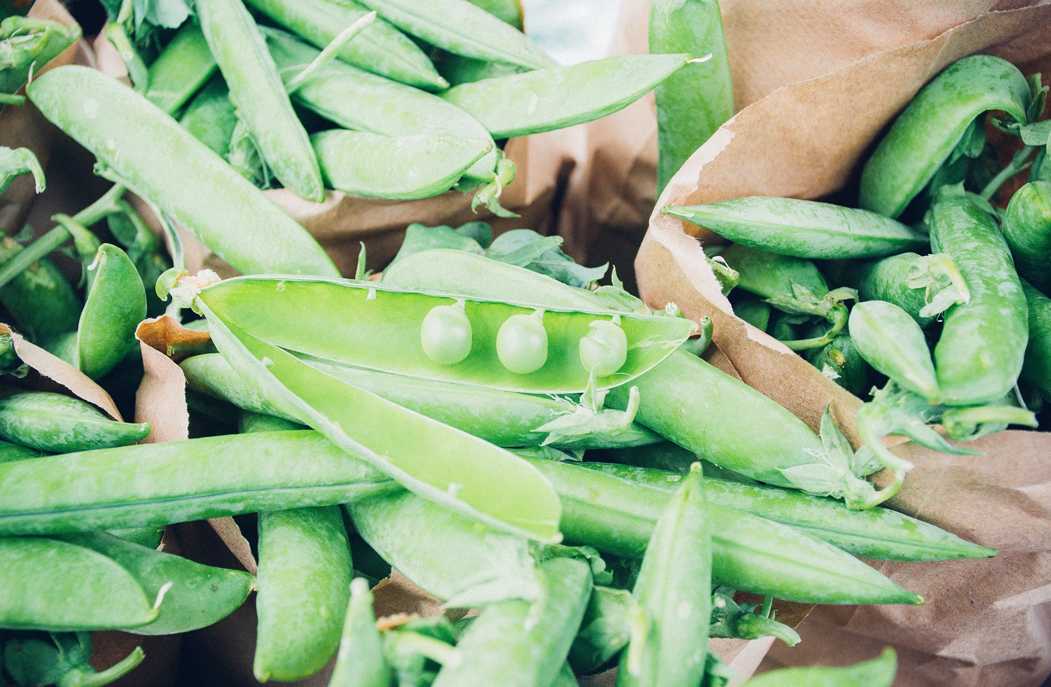 A pile of pea pods