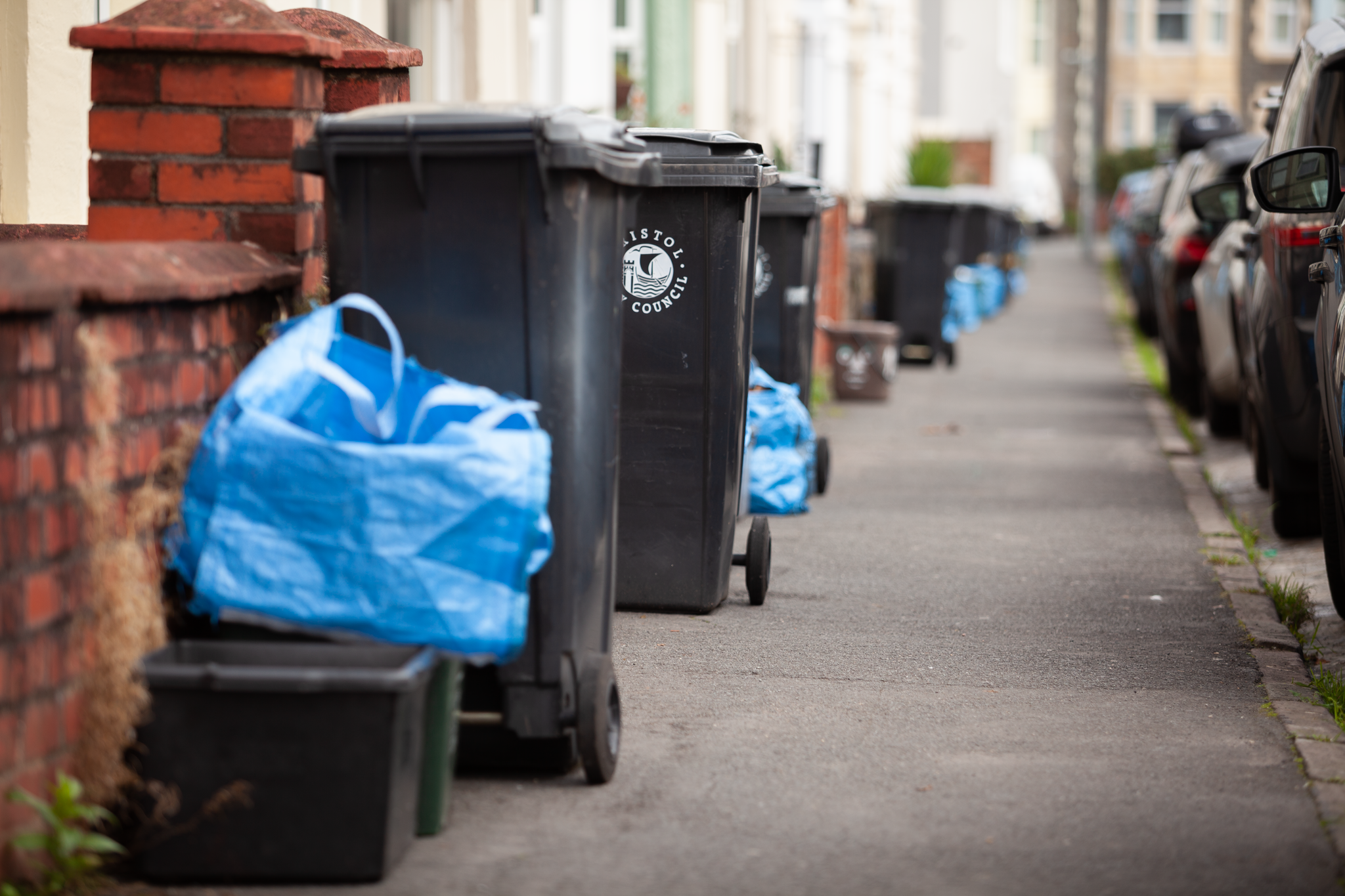 Bins and recycling containers, neatly lined up on a pavement