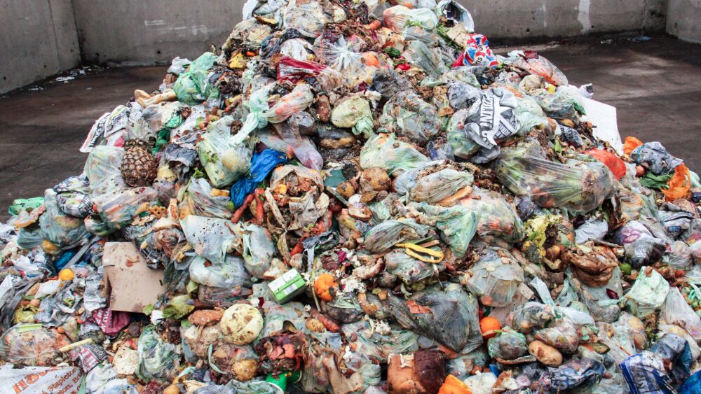 A mound of bags of food waste