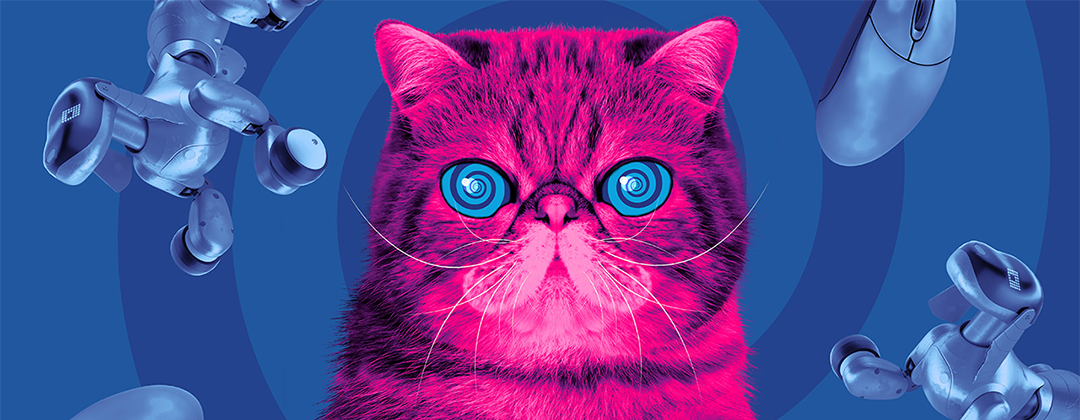 A pink cat with hypnotic eyes on a blue background