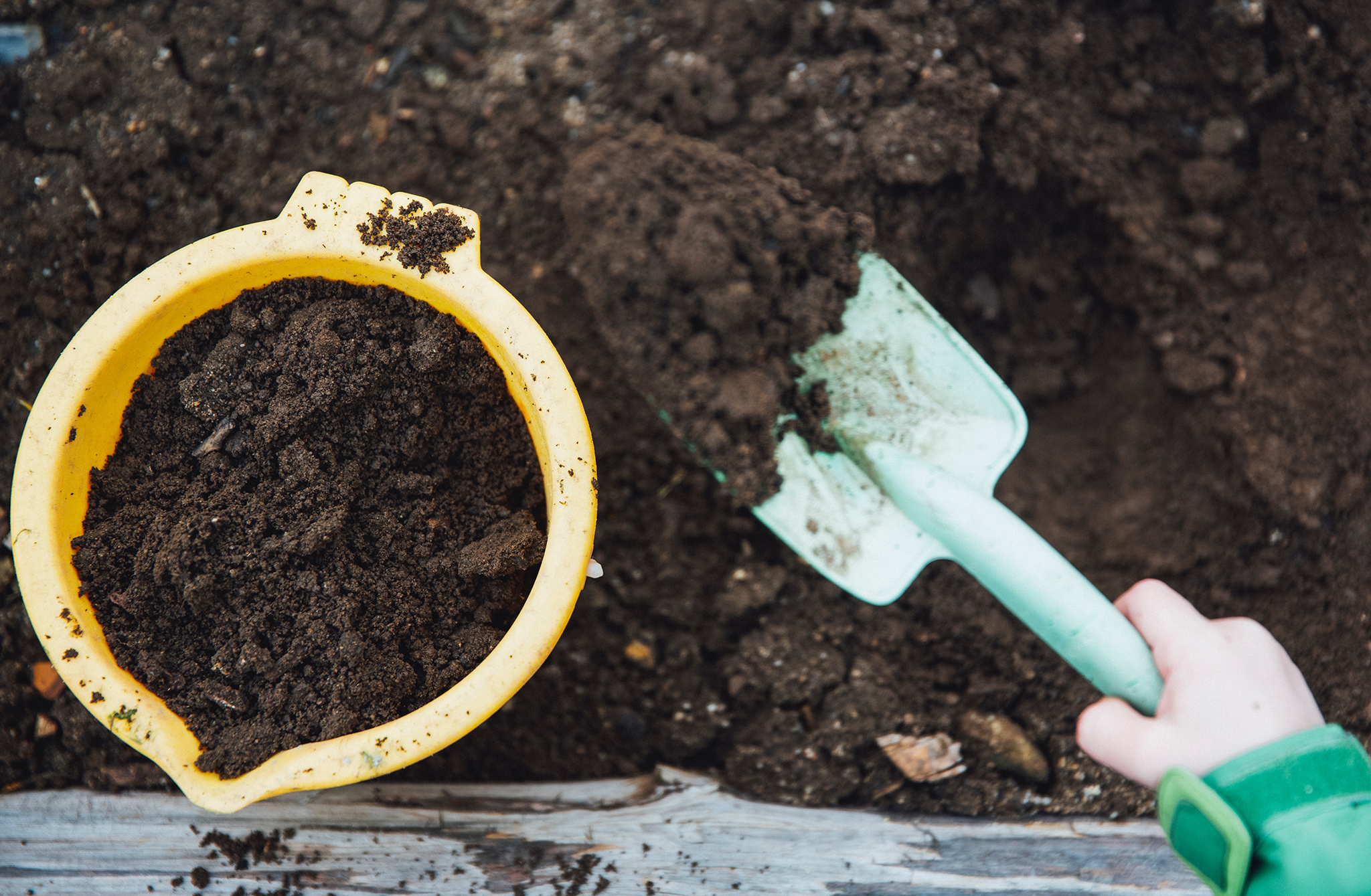 A hand spooning compost into a yellow bucket