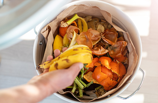 Container full of colourful food waste