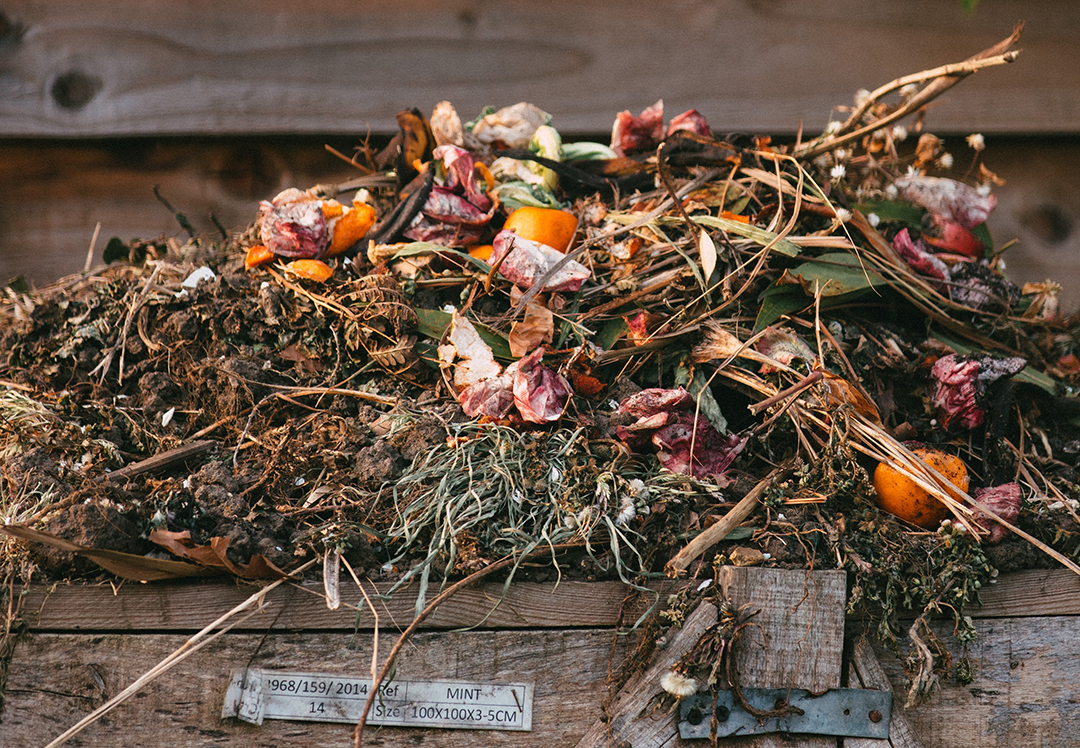 Garden waste piled up ready for collection