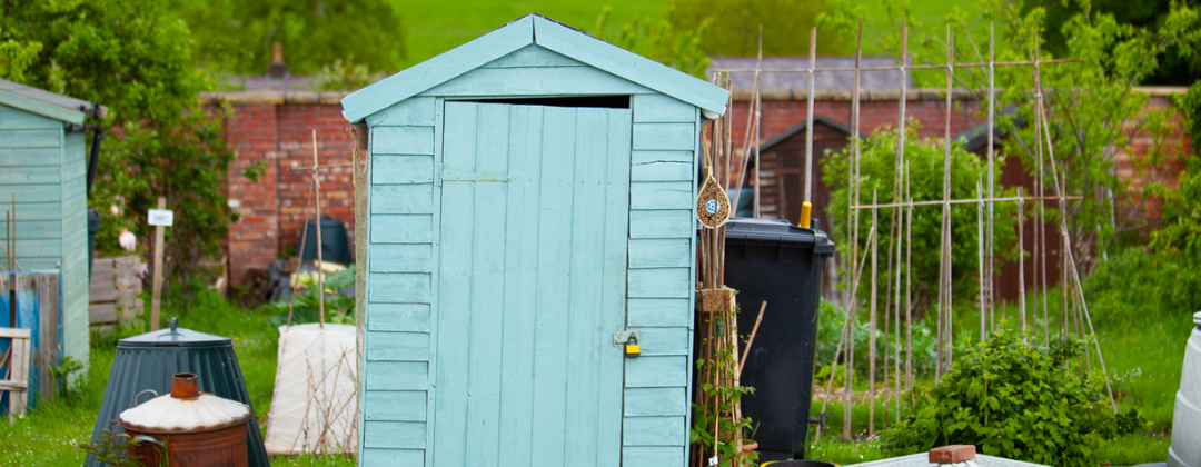 A blue shed on an allotment in Bristol