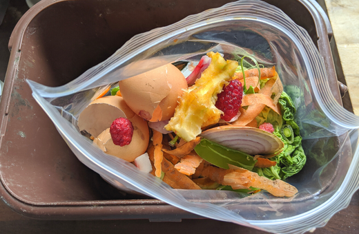 A plastic bag full of food waste in a brown food waste caddy