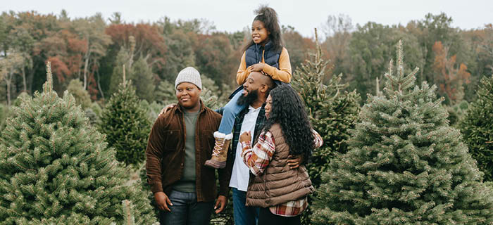 A family picking a real Christmas tree