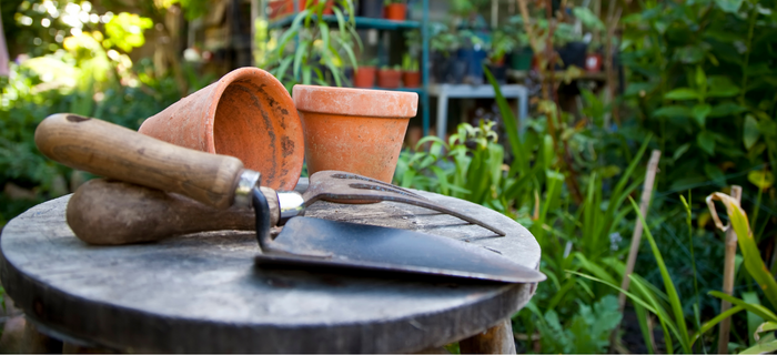 Garden tools on a bench