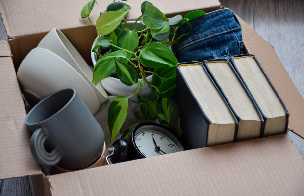 Assorted items in a cardboard box