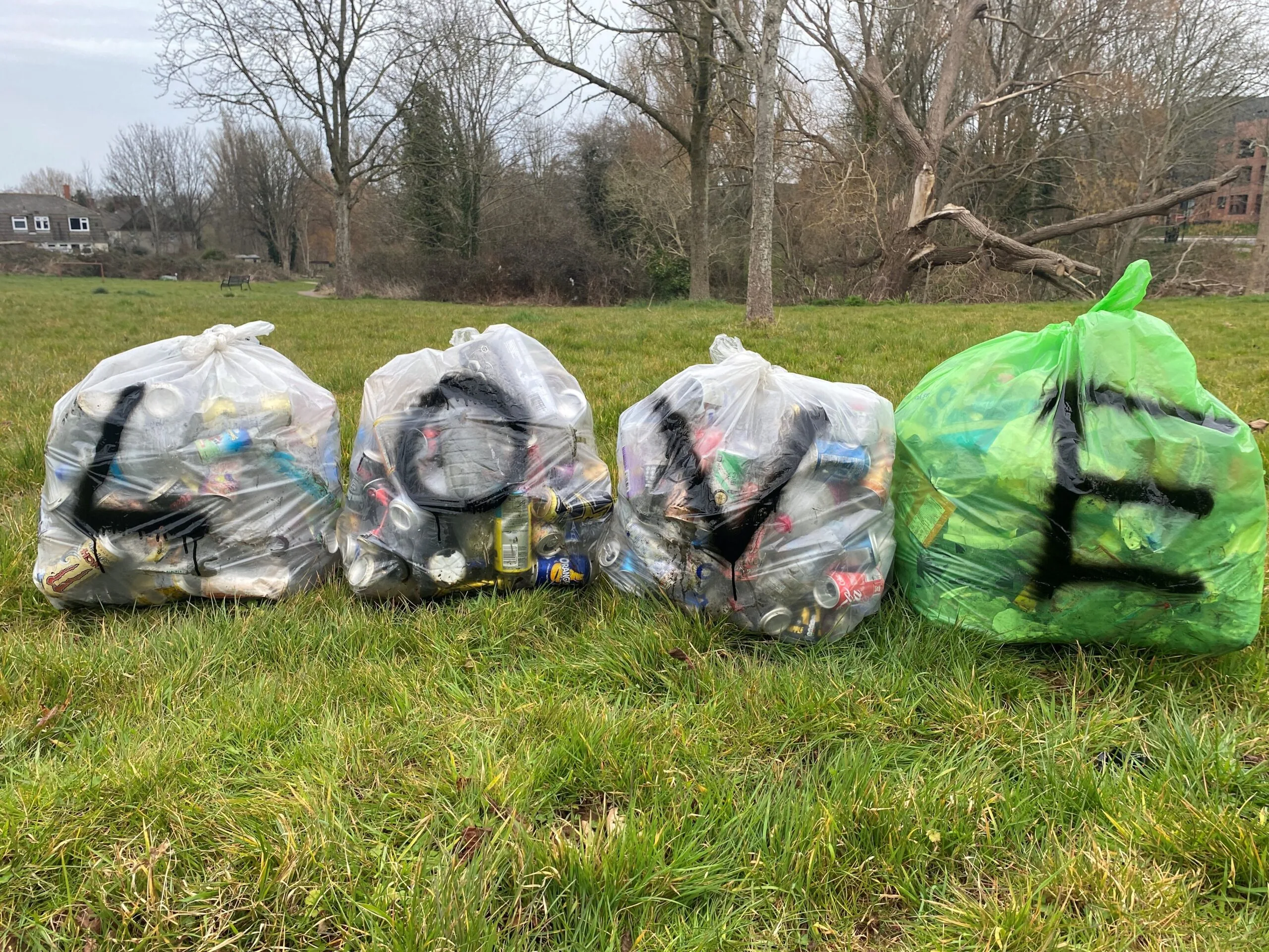 4 bags of litter are lined up outdoors on some grass. The letters "LOVE" have been spray painted onto the bags