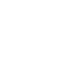 Shield with lock in a circle icon