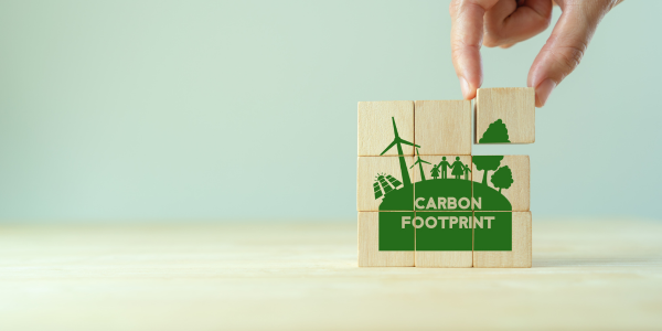 Blocks of wood that reads carbon footprint
